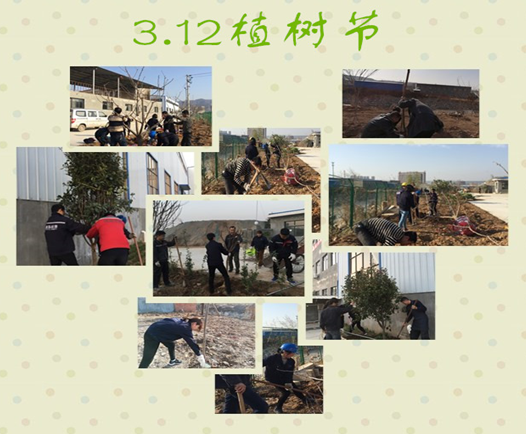 寶雞捷銳“迎春風，綠家園”植樹節(jié)(圖3)
